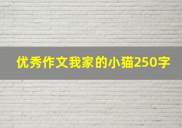 优秀作文我家的小猫250字