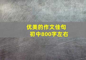 优美的作文佳句初中800字左右