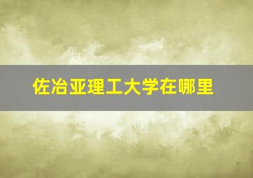 佐冶亚理工大学在哪里