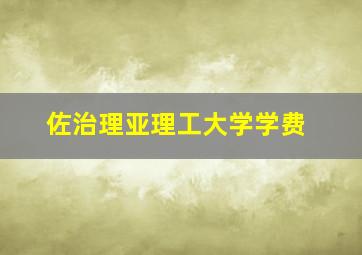 佐治理亚理工大学学费