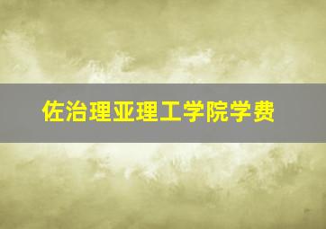 佐治理亚理工学院学费