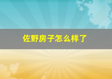 佐野房子怎么样了