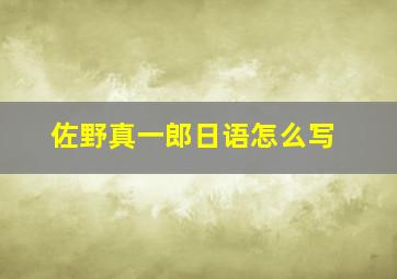 佐野真一郎日语怎么写