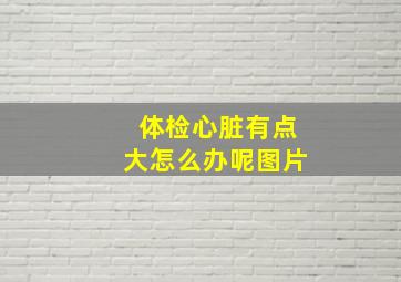 体检心脏有点大怎么办呢图片