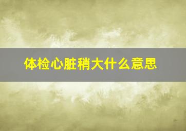 体检心脏稍大什么意思