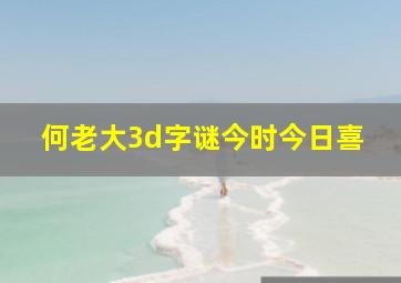 何老大3d字谜今时今日喜