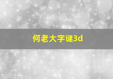 何老大字谜3d