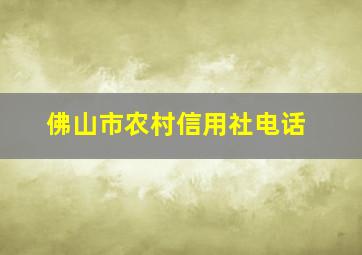 佛山市农村信用社电话