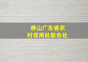 佛山广东省农村信用社联合社