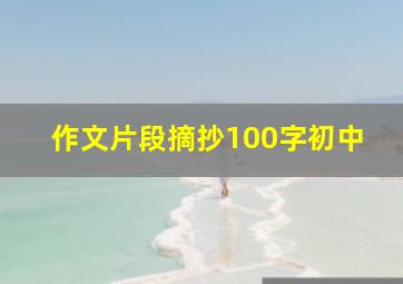 作文片段摘抄100字初中