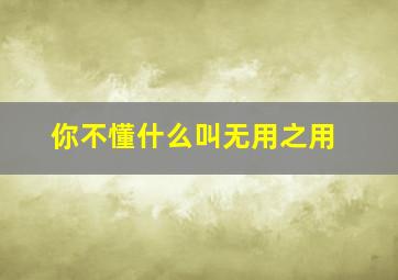 你不懂什么叫无用之用