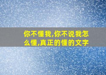 你不懂我,你不说我怎么懂,真正的懂的文字