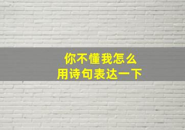 你不懂我怎么用诗句表达一下