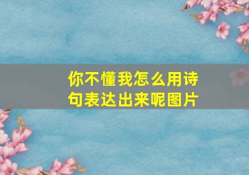 你不懂我怎么用诗句表达出来呢图片