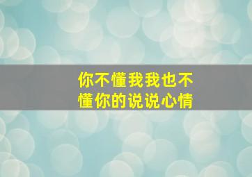 你不懂我我也不懂你的说说心情