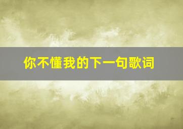 你不懂我的下一句歌词