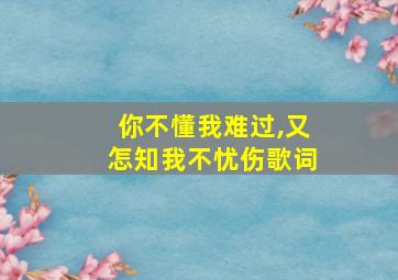 你不懂我难过,又怎知我不忧伤歌词