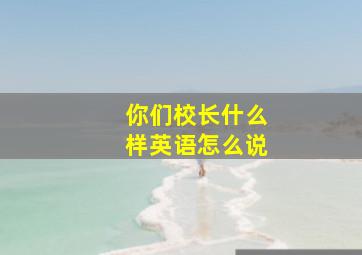 你们校长什么样英语怎么说