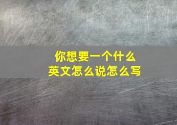 你想要一个什么英文怎么说怎么写