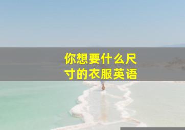 你想要什么尺寸的衣服英语