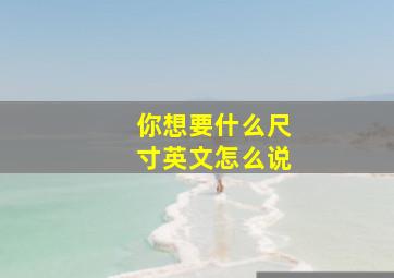 你想要什么尺寸英文怎么说