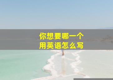 你想要哪一个用英语怎么写