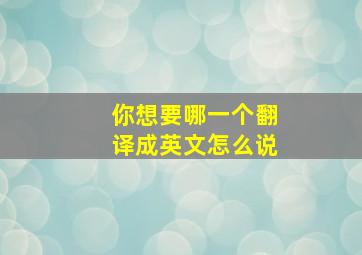 你想要哪一个翻译成英文怎么说