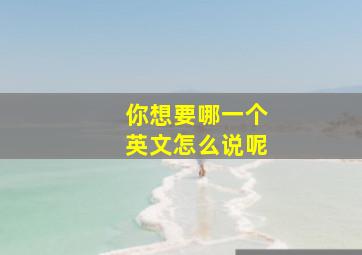 你想要哪一个英文怎么说呢