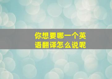 你想要哪一个英语翻译怎么说呢