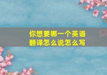 你想要哪一个英语翻译怎么说怎么写