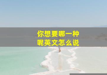 你想要哪一种呢英文怎么说