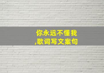 你永远不懂我,歌词写文案句