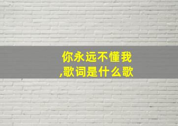 你永远不懂我,歌词是什么歌