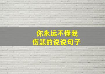 你永远不懂我伤悲的说说句子