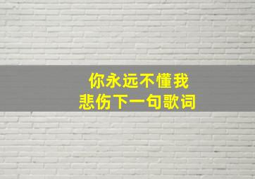 你永远不懂我悲伤下一句歌词