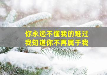 你永远不懂我的难过我知道你不再属于我