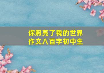 你照亮了我的世界作文八百字初中生