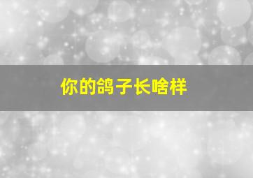 你的鸽子长啥样