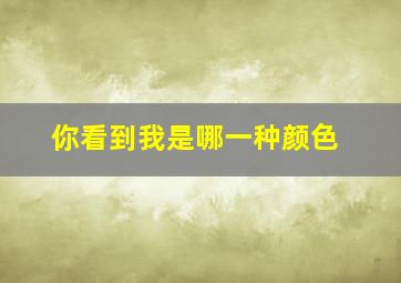 你看到我是哪一种颜色