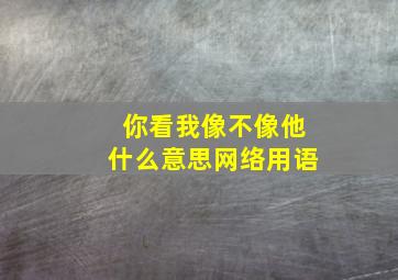 你看我像不像他什么意思网络用语