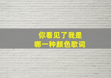 你看见了我是哪一种颜色歌词