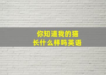 你知道我的猫长什么样吗英语