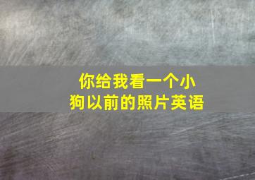 你给我看一个小狗以前的照片英语