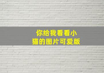 你给我看看小猫的图片可爱版