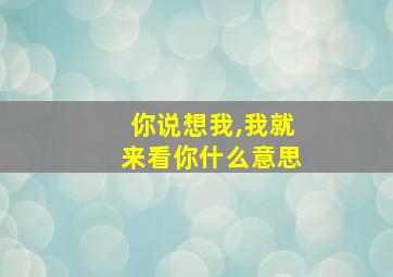 你说想我,我就来看你什么意思