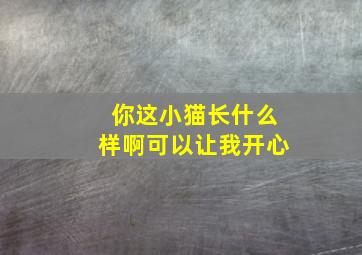 你这小猫长什么样啊可以让我开心