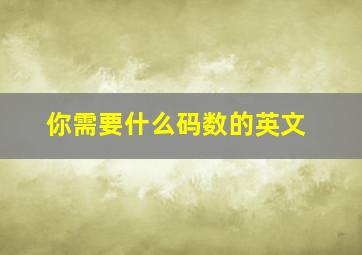 你需要什么码数的英文