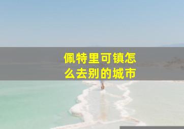 佩特里可镇怎么去别的城市