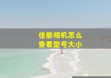 佳能相机怎么查看型号大小