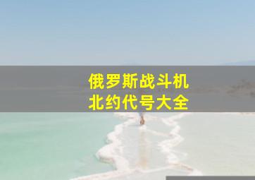 俄罗斯战斗机北约代号大全